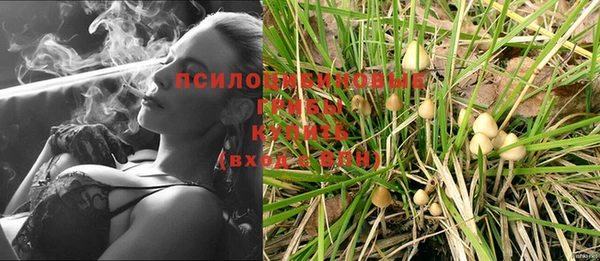 альфа пвп Пересвет