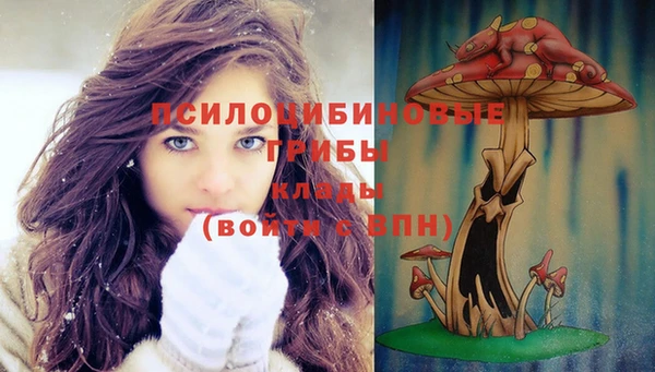герыч Пестово