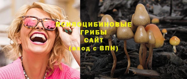 герыч Пестово